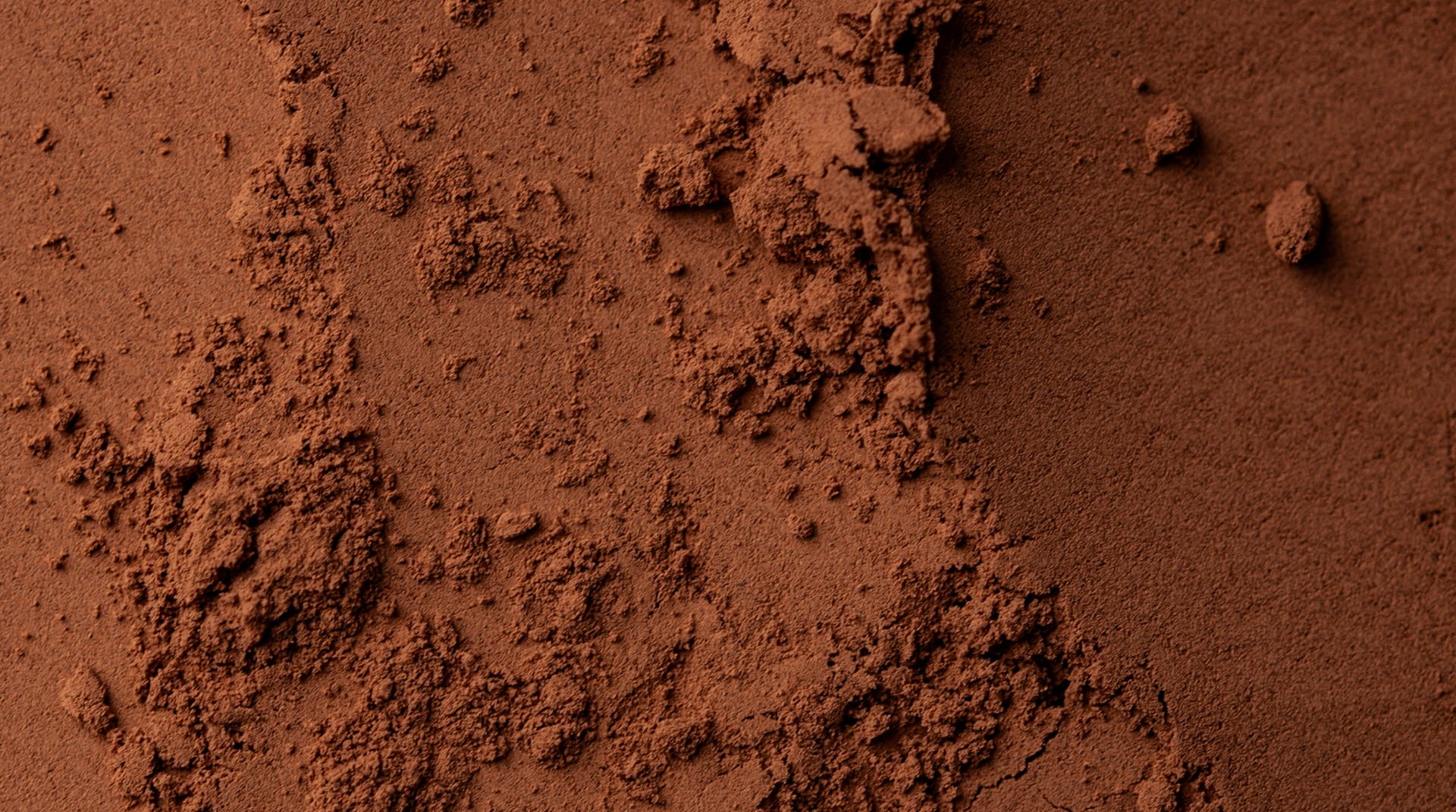 CACAO EN POLVO